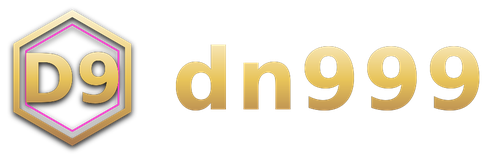 dn999 logo